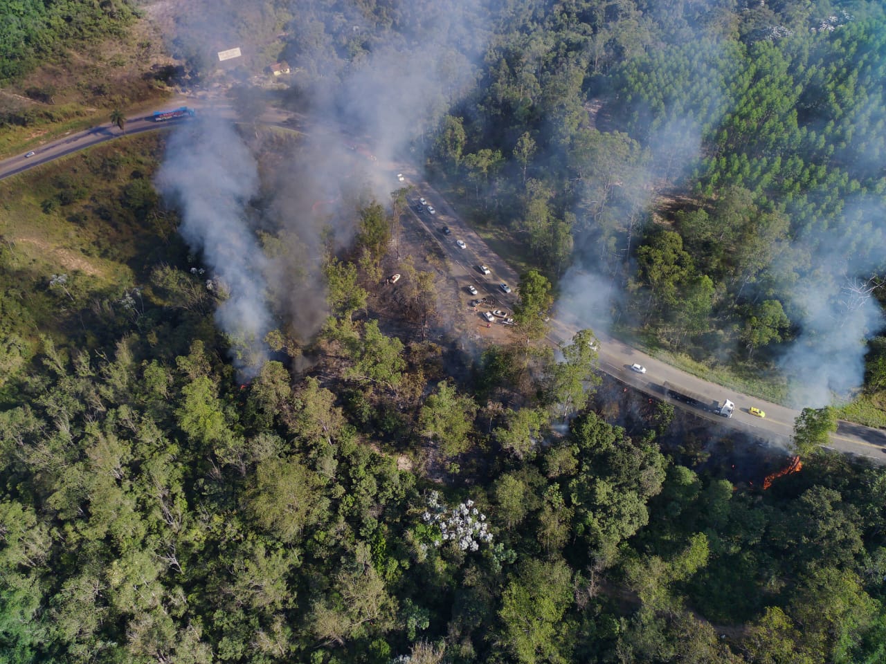 Atuação da CENIBRA impede propagação de incêndio florestal na BR-381