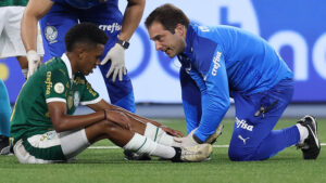 Estêvão (foto: Cesar Greco/Palmeiras/by Canon)