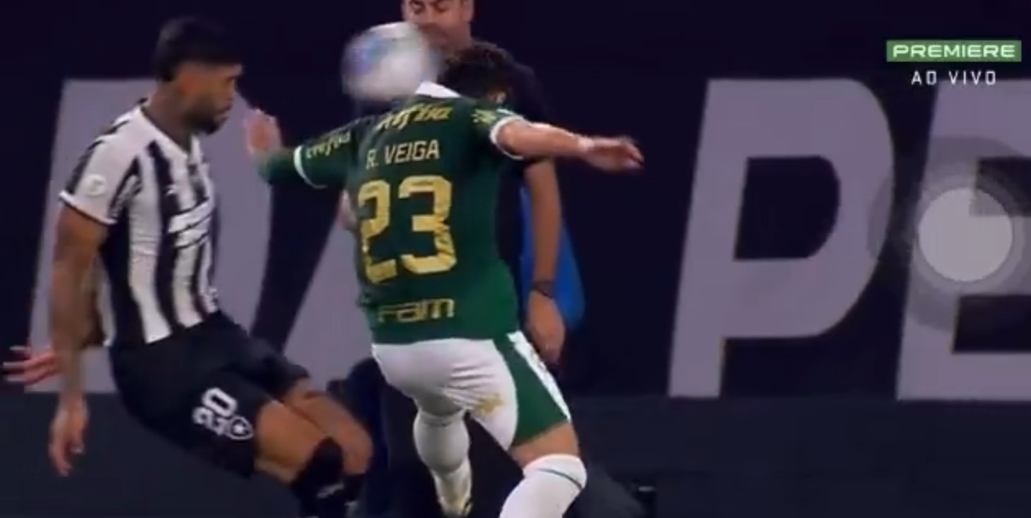 Botafogo e Palmeiras (foto: Reprodução|YouTube)