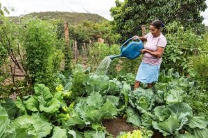 Minas Gerais tem edital de fomento ao cooperativismo aberto até domingo (28/7)