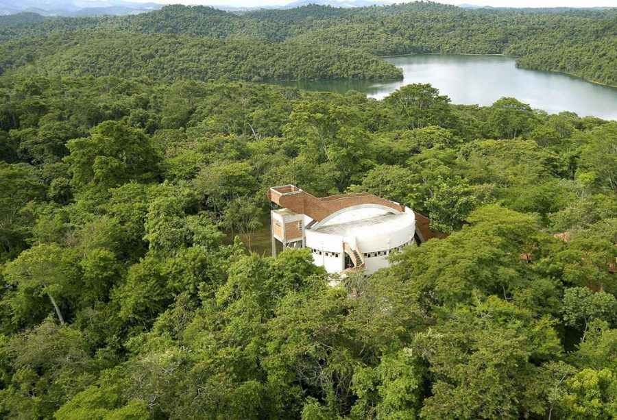 Neste domingo, o Parque Estadual do Rio Doce completa 80 anos celebrando a preservação ambiental