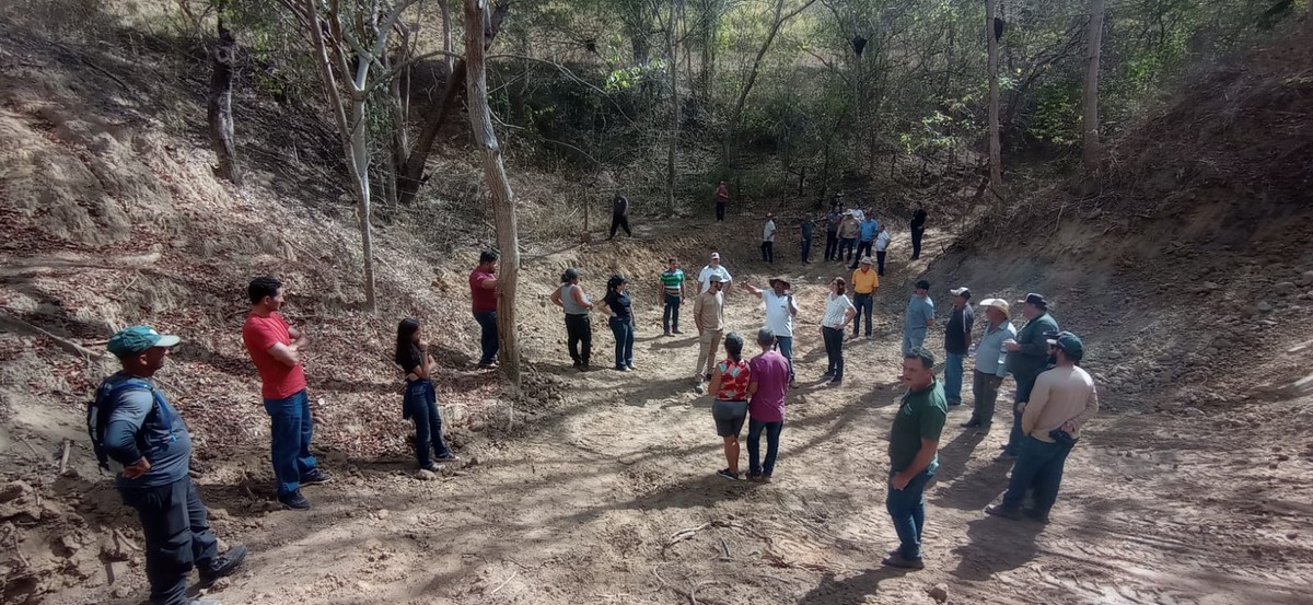 Dia de Campo promove o uso de práticas de conservação de solo e água na recuperação de pastagens | Vales de Minas Gerais