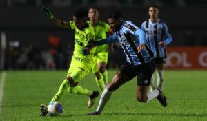 Lance de Palmeiras x Grêmio (foto: Cesar Greco / Palmeiras)