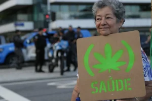 STJ autoriza mineiro a plantar a própria maconha para uso medicinal