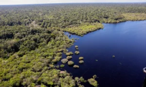 Criação do Museu das Amazônias é lançada em Belém