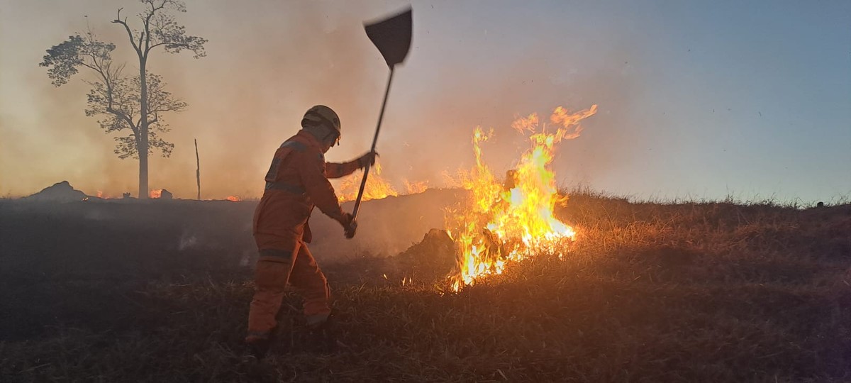 Fogo destrói 30 hectares de vegetação na zona rural de Pingo D'Água