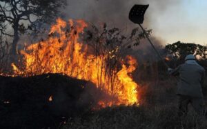 Queimada Provoca Apagão no Vale do Aço; Cemig Esclarece Ocorrência