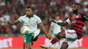 Flamengo e Palmeiras se enfrentam neste domingo (11/8) (foto: Cesar Greco/Palmeiras)