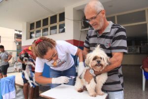 Neste sábado, é dia de vacinar a bicharada em Timóteo. Quem não tem cão, pode vacina o gato