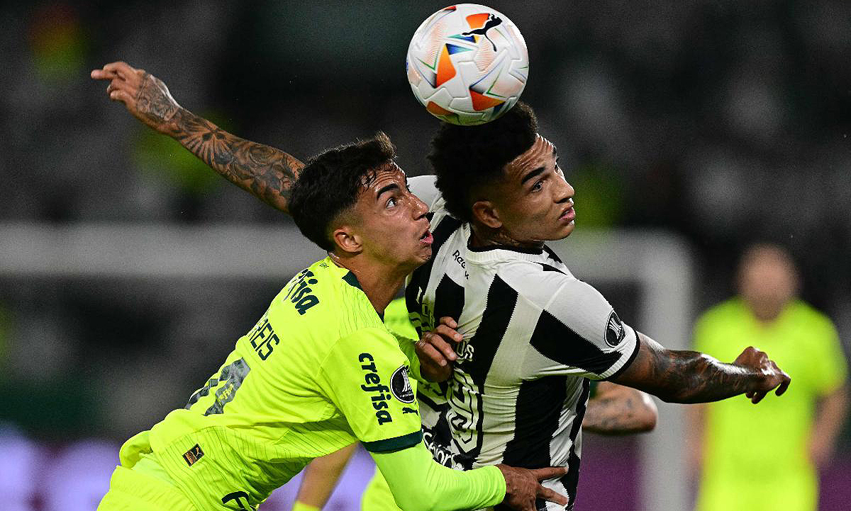 Palmeiras x Botafogo vai passar na Globo?