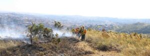 Guardiões da natureza, brigadistas atuam de forma fundamental no combate a incêndios florestais