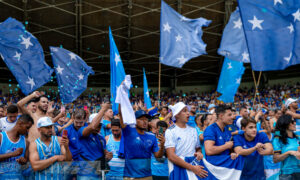 Torcida do Cruzeiro no Mineirão (foto: Staff Images/Cruzeiro)