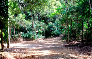 Usipa realiza 1ª Edição do Cross Country Usipa no dia 8 de setembro