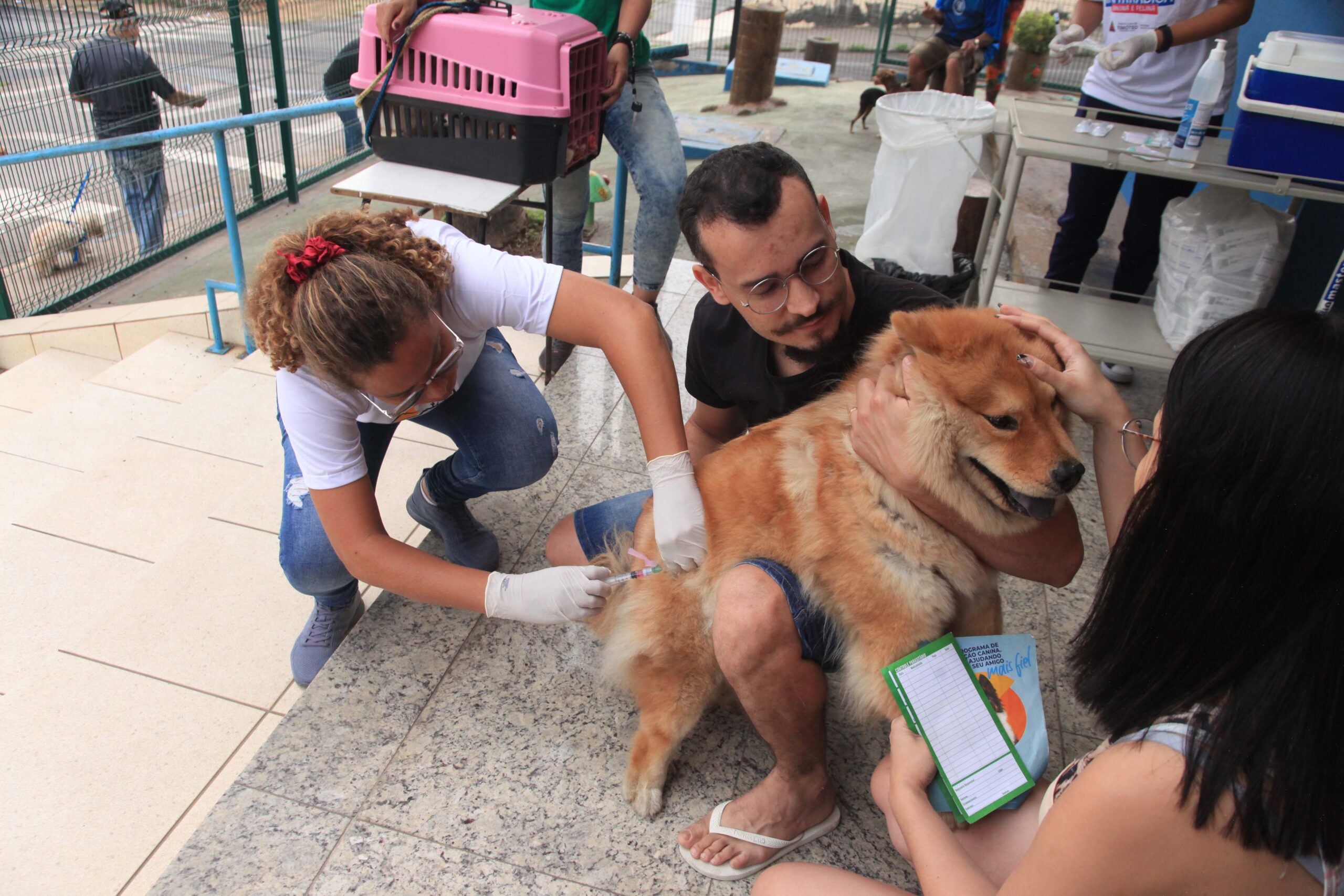 Campanha de Vacinação Antirrábica nos dias 24 e 31 de agosto em Timóteo