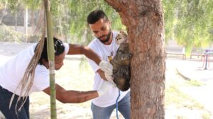 Timóteo realiza segundo “Dia D” de vacinação contra raiva para cães e gatos neste sábado