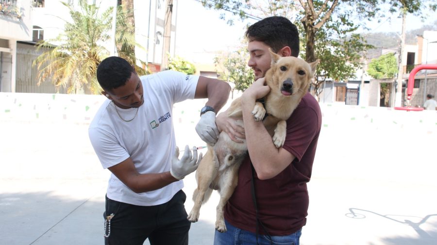 Campanha de Vacinação Antirrábica em Timóteo atingiu cerca de 6 mil animais. A campanha continua