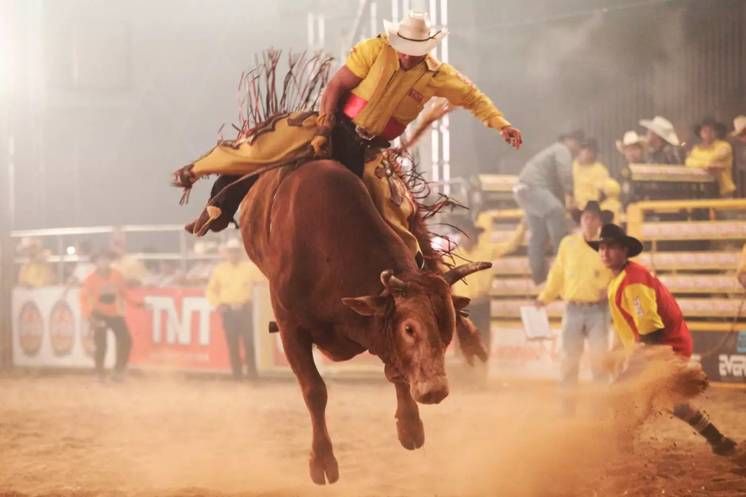 Rodeio de Timóteo 2024 promete ser um dos maiores eventos do leste de Minas Gerais