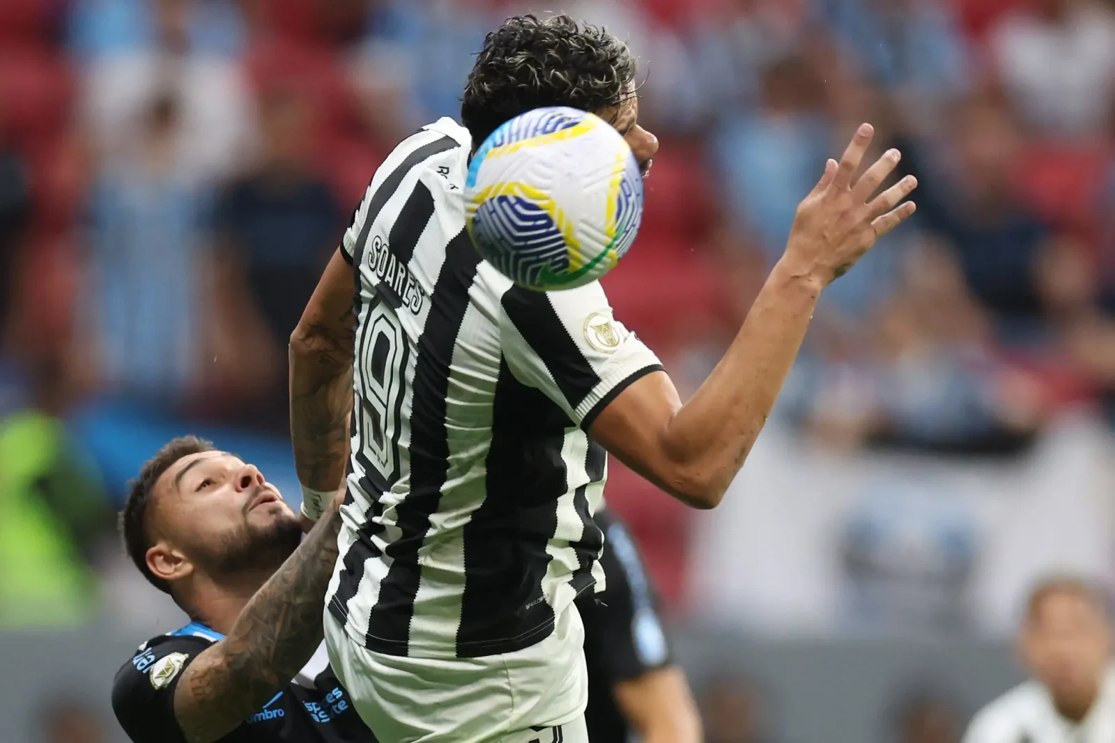 Botafogo (foto: Foto: Vitor Silva/Botafogo)