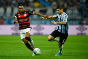 Lance de Grêmio x Flamengo (foto: Divulgação / Flamengo)