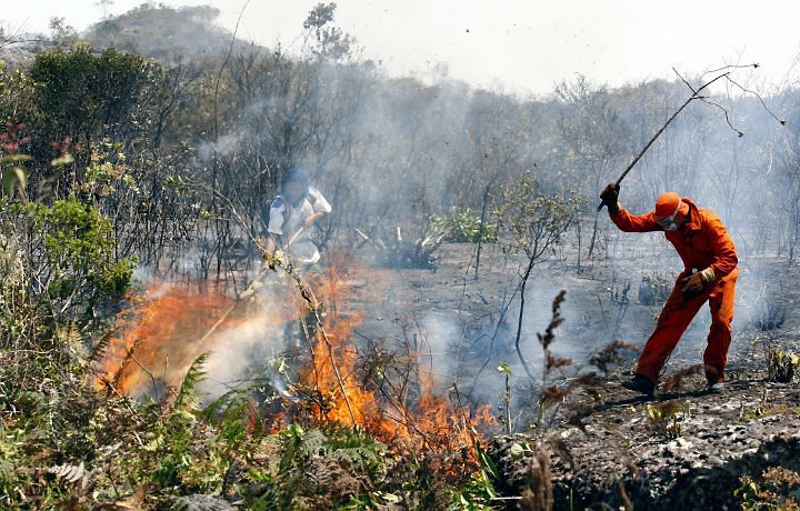 Polícia aperta o cerco contra suspeitos de atear fogo em matas em Minas. Foram 49 prisões