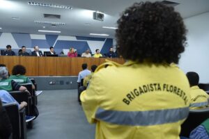 Servidores reclamam de corte de atribuições e de poucos recursos para lidar com incêndios