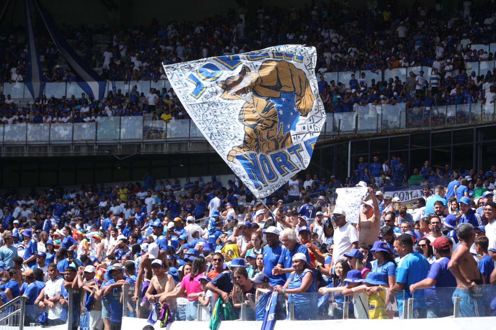 Torcida do Cruziero promete lotar o Mineirão no jogo de volta das quartas de final da Copa Sul-Americana (foto: Edésio Ferreira/EM/D.A.Press)