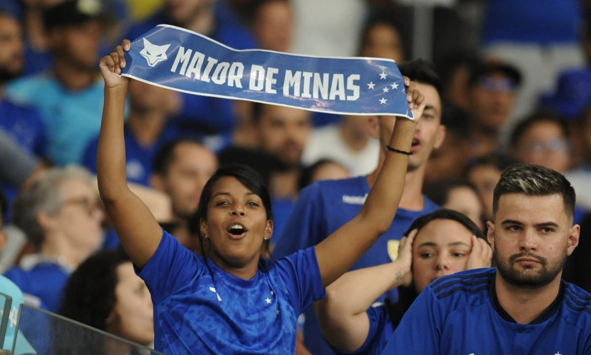 Torcedores do Cruzeiro no Mineirão (foto: Alexandre Guzanshe/EM/D.A.Press)