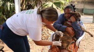 Vacinação de cães e gatos chega em Cachoeira do Vale, Timotinho e Ana Moura