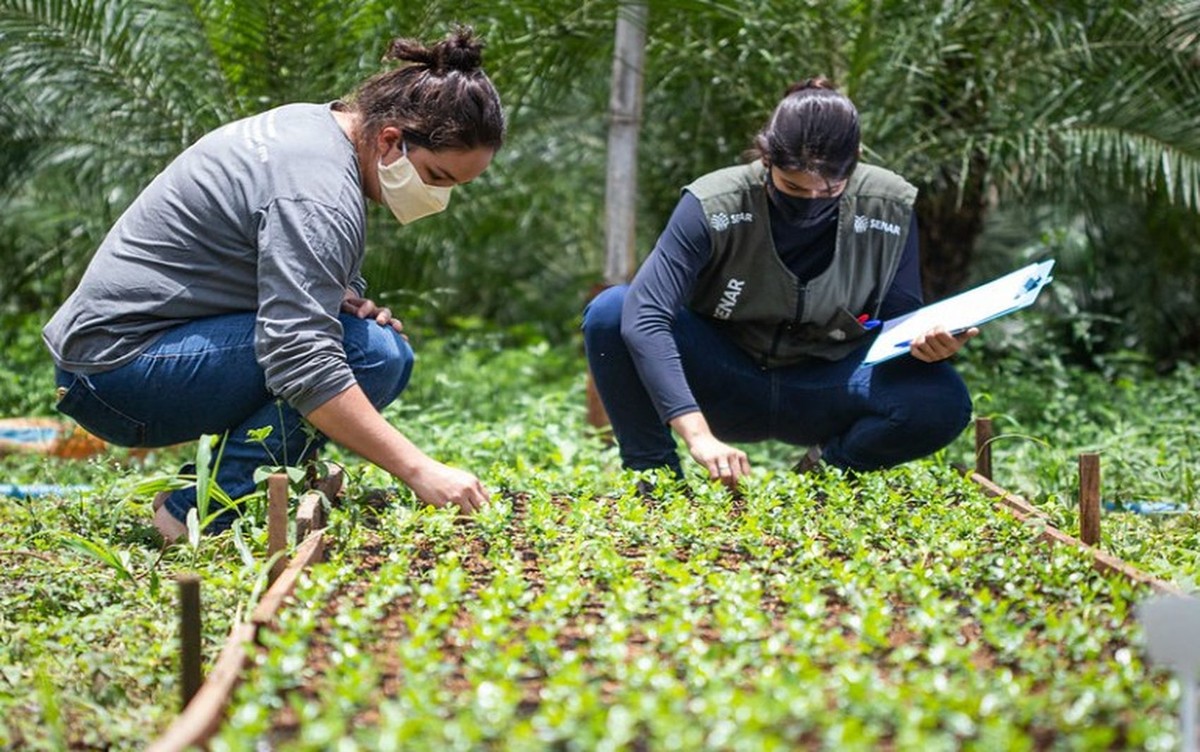 Sistema Faemg Senar oferece capacitações gratuitas, em 13 cidades do Leste de Minas, a partir desta segunda-feira (30) | Vales de Minas Gerais