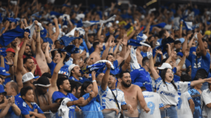 Torcida do Cruzeiro no Mineirão (foto: Ramon Lisboa/EM/D.A Press)