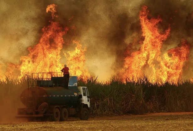 Prejuízo da cana com incêndios aumenta e chega a R$ 1,2 bilhão; isso terá reflexos no seu bolso?