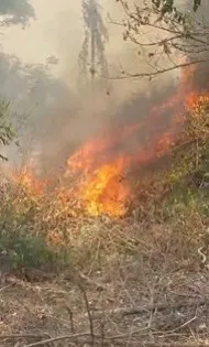 Incêndio Ameaça Estruturas na Fazenda São José, em Antônio Dias