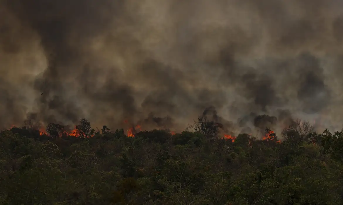 Secretário do MMA vê conotação politica em queimadas na Amazônia