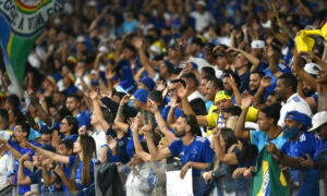 Torcida do Cruzeiro em jogo no Mineirão (foto: Ramon Lisboa/EM/D.A.Press)