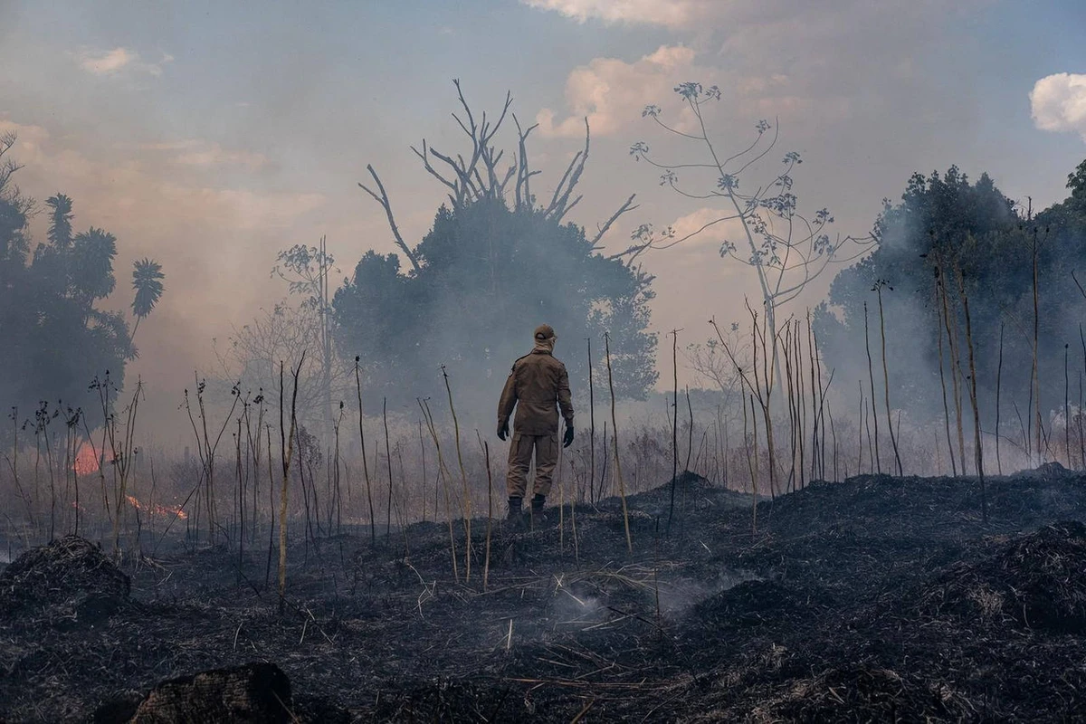 Polícia Federal faz operação contra incêndios criminosos no Pantanal nesta sexta