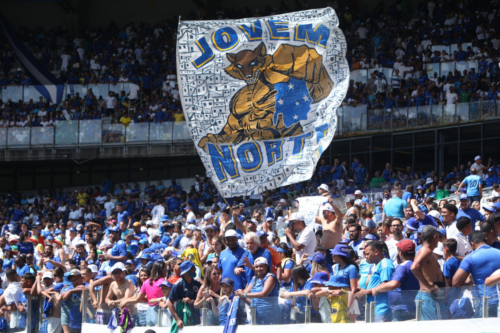 Torcida do Cruzeiro no Mineirão (foto: Edesio Ferreira/EM/D.A.Press)