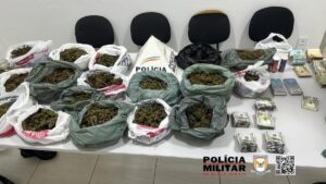 Polícia apreende maconha armazenada dentro de geladeira em Divino das Laranjeiras