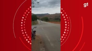 Motociclista pede para ser filmado na rodovia e acaba tendo a morte registrada; veja vídeo | Vales de Minas Gerais