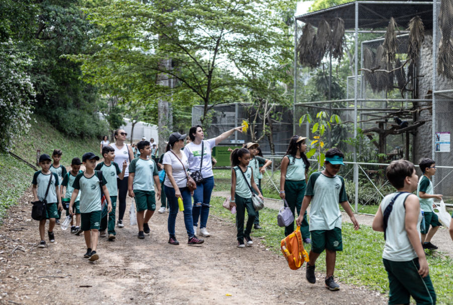 39ª Projeto Xerimbabo Usiminas: Escolas já podem se programar para a visitação