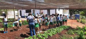 Cerca de 1.200 pessoas participam de  ações ambientais na RHI Magnesita