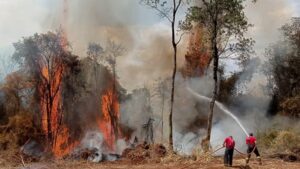 Propostas para reduzir impactos da crise climática serão premiadas pela ALMG