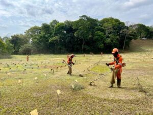 Ipatinga está finalizando os preparativos dos cemitérios para o Dia de Finados