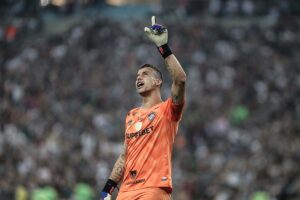 Fábio, goleiro do Fluminense (foto: Marcelo Gonçalves/Fluminense)