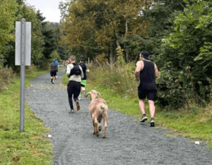 Cabra foge, corre 4 km de meia-maratona e ganha medalha na linha de chegada » Portal MaisVip