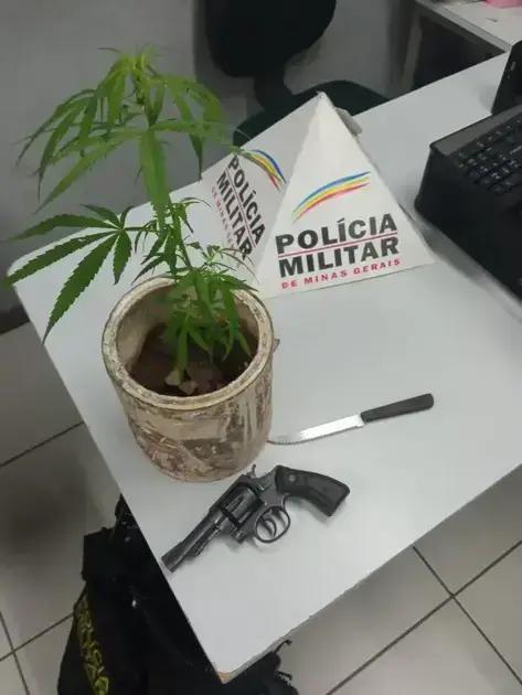 Apreensão de Arma de Fogo e Plantas em Ipatinga