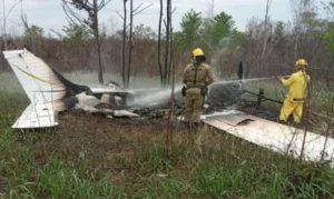 FAB intercepta avião que entrou irregularmente em território nacional