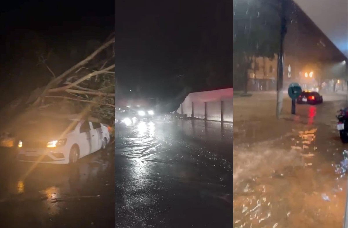 Queda de muro e árvores, ventania e ruas alagadas: chuva chega trazendo estragos na região Leste de Minas | Vales de Minas Gerais