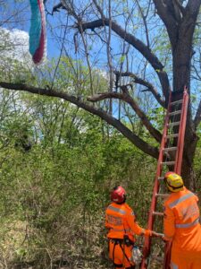 Corrente de ar 'joga' piloto de parapente contra árvores em parque municipal de Governador Valadares