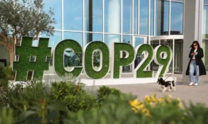 Ambientalistas dizem que acordo da COP29 é insuficiente