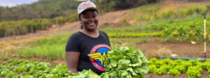 Com apoio do Governo de Minas, renda da agricultura familiar cresce nas vendas para a merenda escolar